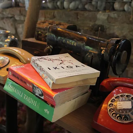 מלון Eski דטקה