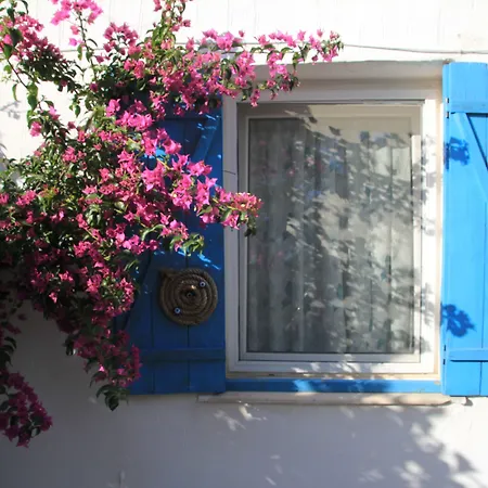 Hotel Eski