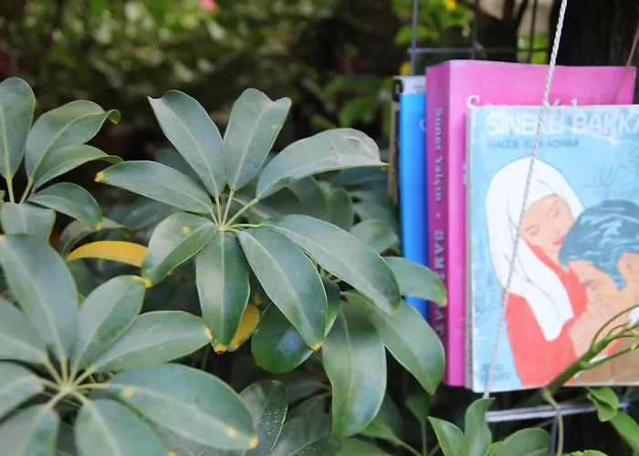 Отель Eski Датча