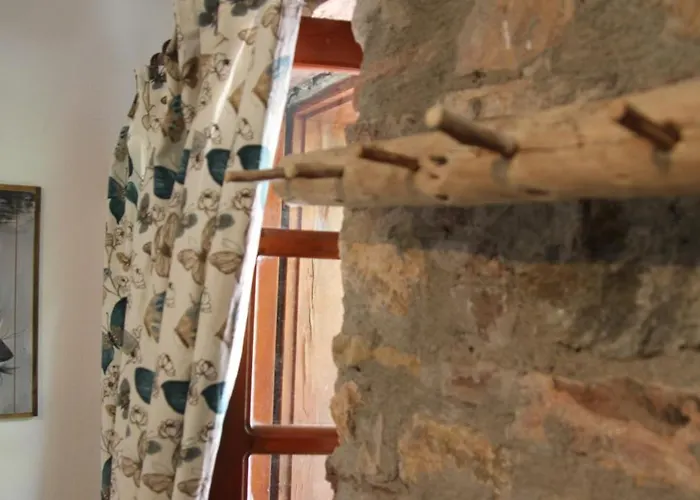 فندق Eski داتْشا