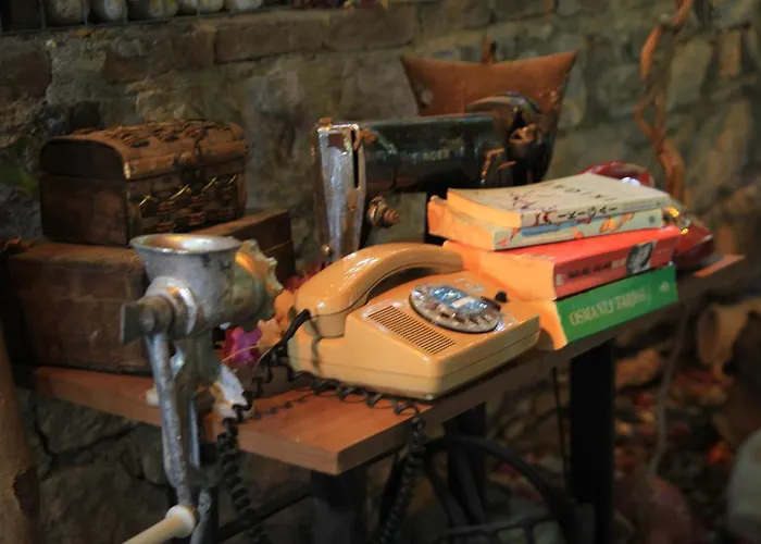 فندق Eski داتْشا